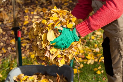 Clearing garden debris for a tidy space